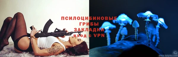 мескалин Богородицк
