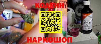 стаф Дубна