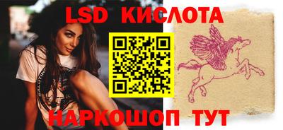 стаф Дубна
