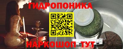 стаф Дубна
