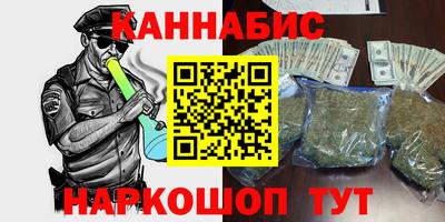 стаф Дубна