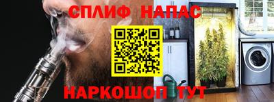 стаф Дубна