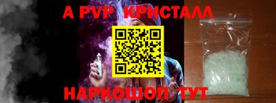 стаф Дубна