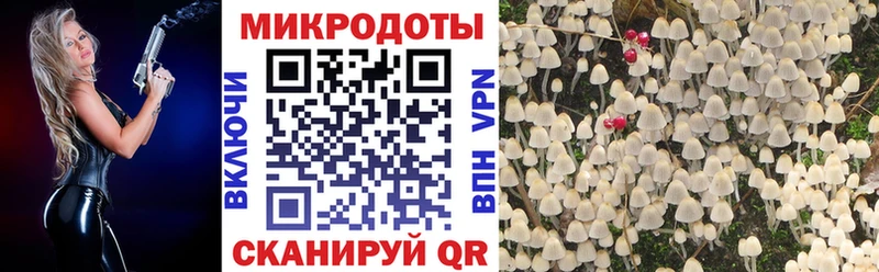 нарко площадка официальный сайт  Гусев  Галлюциногенные грибы Cubensis  наркота  ОМГ ОМГ зеркало 